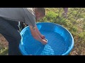 DIY Easy Drain Duck Pool