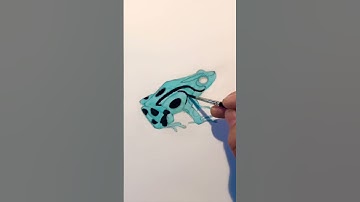 Green Poison Dart Frog Speed Painting