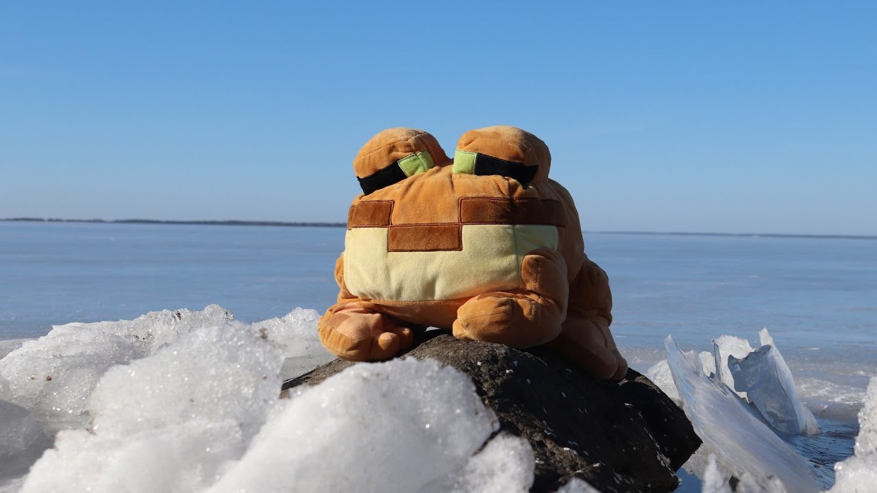 Minecraft Frog Plush Review