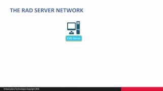 Famous RAD Studio Berlin Enterprise Webinar Part 5 - RAD Server Embedded Documentation API Net Worth