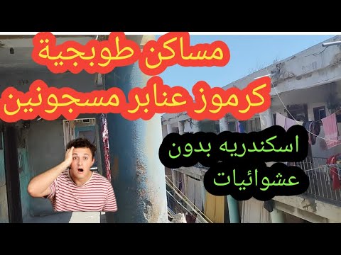 اسكندريه بدون عشوائيات منطقة طوبجية كرموز مساكن عبارة عن عنابر مسجونين