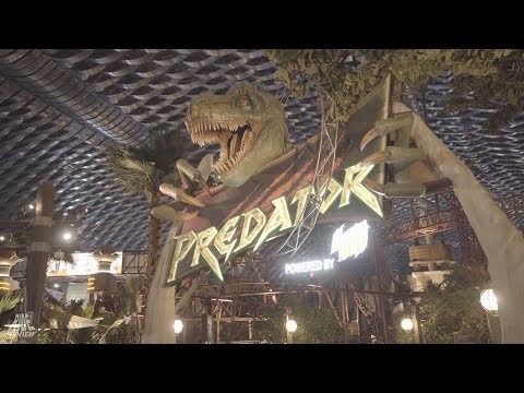 Predator – IMG Worlds of Adventure – Gerstlauer – Euro Fighter 320+