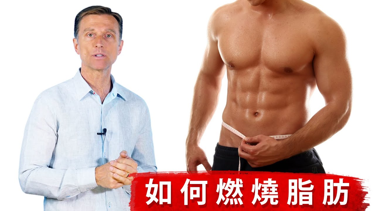 如何燃燒脂肪,營養素和降低胰島素很重要!!