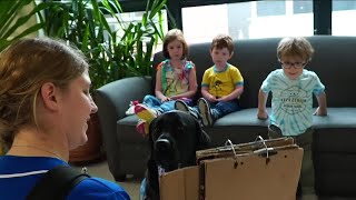 Celebrity Meet Gregory III, the facility dog who helps Fletcher Miller School every day Wealth