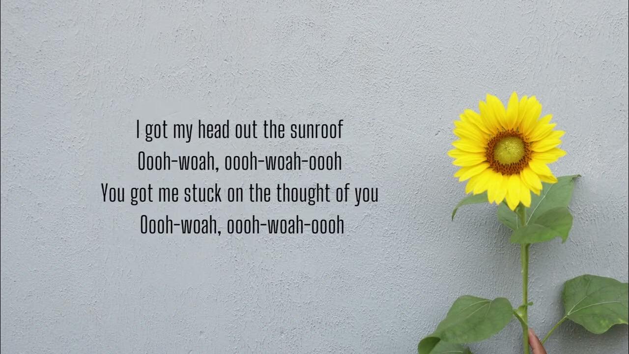 Nicky Youre, dazy Sunroof Lyrics i got my head out the sunroof - YouTube
