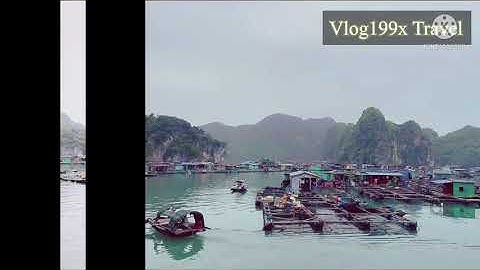 Đôi nét về làng chài cổ Cái Bèo / ĐẢO CÁT BÀ / VLOG199X Travel