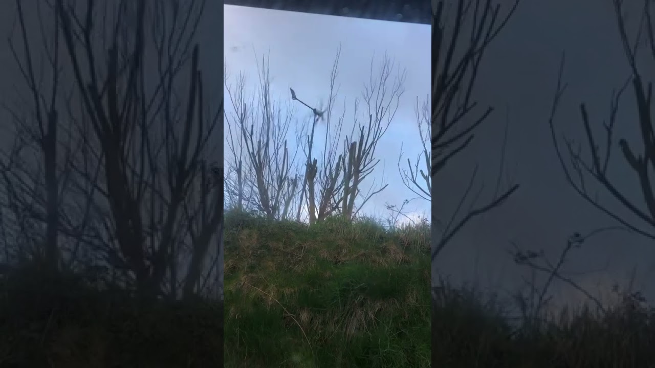 Tesup Zeus runaway!!