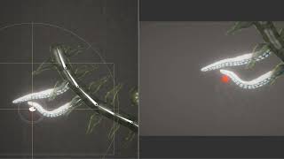 Petri_Techtest