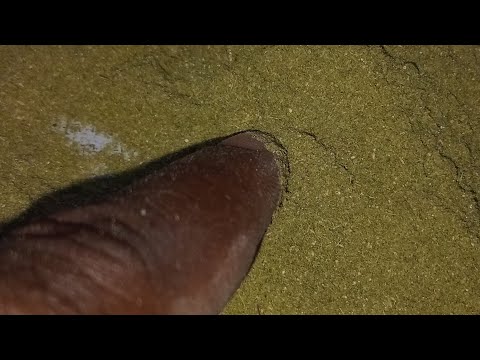 Tumia Libwata Hili Kumfunga Mtu Kimapenzi Nakufanya Akupende 255786317169 255620538801