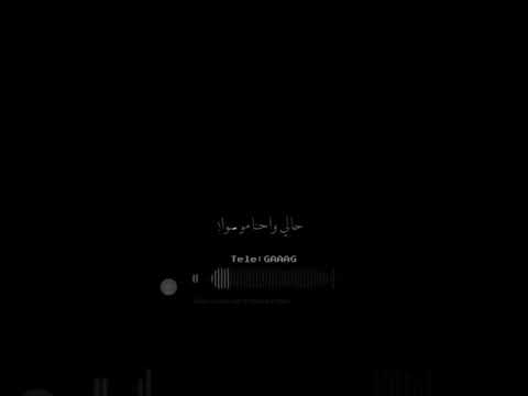 حالات واتس ستوريات انستا ويلي ويلي ياهوى