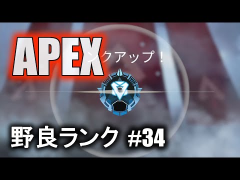 【Apex】野良でランクマッチを頑張る！#34【プラチナ帯】