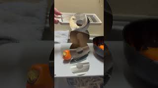 ごぼうのささがきって難しいよね~ #料理 #vlog #簡単料理 #今日の晩ごはん #簡単料理 – ひびつくる