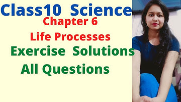 Class10 Science Chapter 6 Life Processes Exercise Solutions All Questions Q1 to Q13