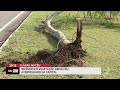 Incêndio em vegetação deixa céu avermelhado na capital