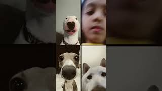 Download Lagu 29 November 2025 MP3