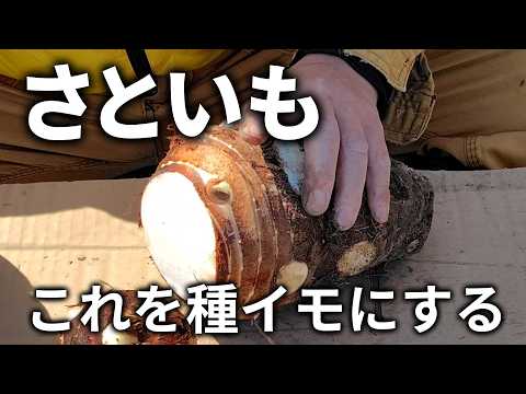 Satoimo] Did you know about these methods? You can increase your