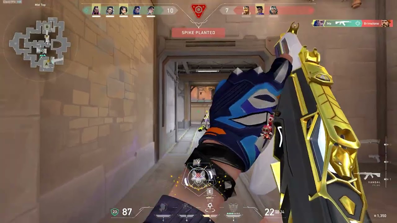 Prime Vandal ASMR | KiwZヅ