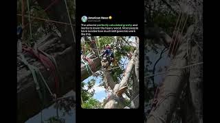 GENIUS TREE ROPE RIGGING SKILLS