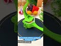 Video Image