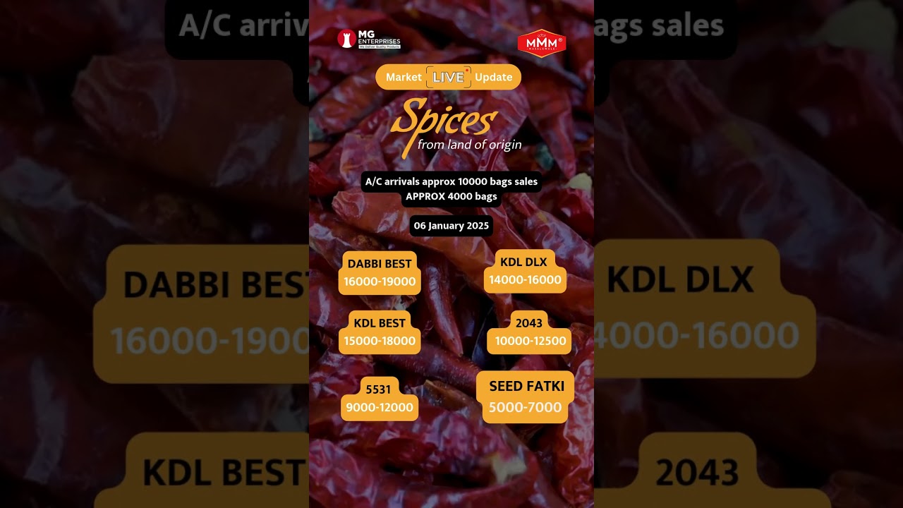 Byadgi Chilli Market Update Guntur Market Rates 06 January 2025  