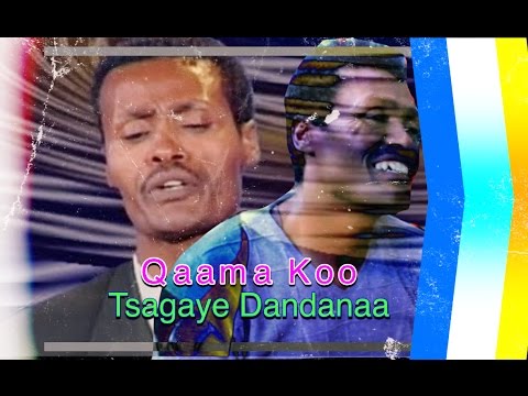 Qaama Koo Tsagayee Dandanaa Sayyoo Dandan Oromo Music New Oromo Music 2017