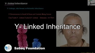 Y- linked Inheritance, Biology Lecture | Sabaq.pk