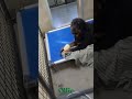 Ollie (MY26-88) video