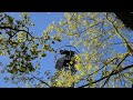 Beginning of video