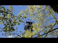 End of video