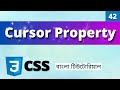 CSS Cursor Property | Master CSS Cursor Property | CSS Tutorial in Bangla (42)