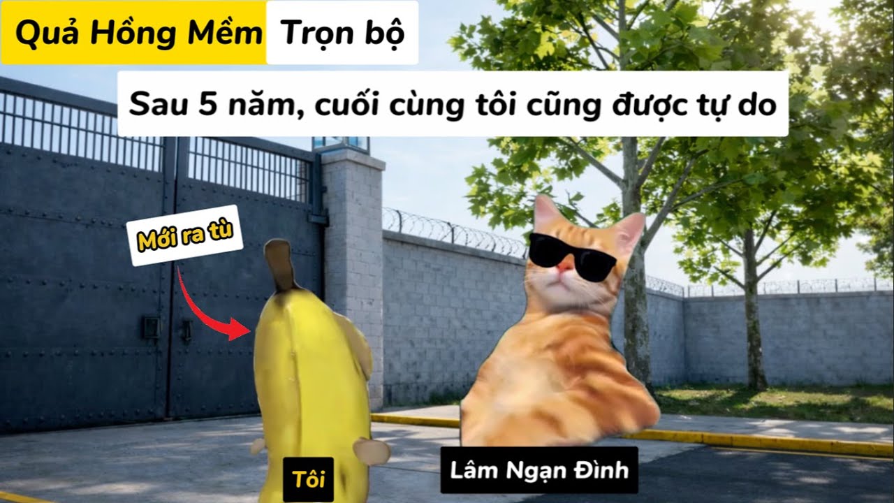 [Trọn bộ] Quả Hồng Mềm