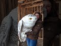 OHH My Guard ЁЯШ ЁЯШ What Is This Birdslover OHH My Guard ЁЯШ ЁЯШ What Is This Birdslover