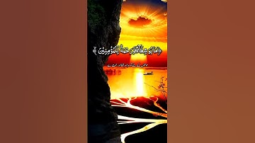 تلاوة عطرة من ذكر الله الحكيم #قرآن #قرآن_كريم #اكسبلور