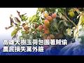 高雄大樹玉荷包園遭竊