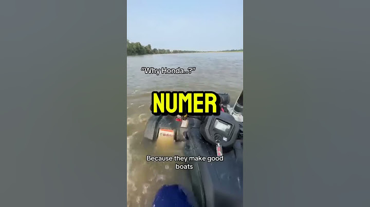 They didn't know it would end like this