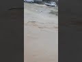لحظة غرق مواطن جرفه السيل في خريبة السوق 