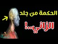 هل تعلم ما الحكمة من جلد الزاني وشارب الخمر سبحان الله العظيم 