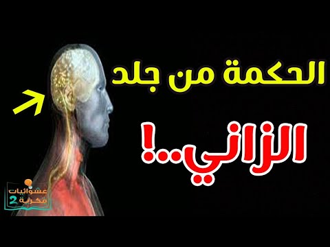 هل تعلم ما الحكمة من جلد الزاني وشارب الخمر سبحان الله العظيم