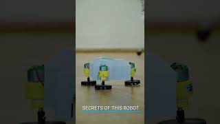 A Cute Robot from Lesics Engineers | Tri-Rad Robot