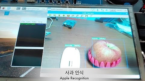 Raspberry Pi + Google Coral Object Detection