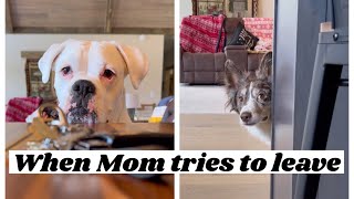 When Mom tries to leave 😤