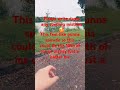 worlds smallest villolin #musician #music #cover #coversong #singersongwriter #vr #dancemusic