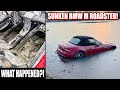 Can it be saved deep cleaning a sunken bmw m roadster  car detailing restoration