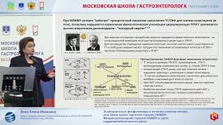 видео: Вовк Елена Ивановна Эссенциальные фосфолипиды в лечении стеатоза печени, или Зачем нужна таргетная т картинка: Вовк Елена Ивановна Эссенциальные фосфолипиды в лечении стеатоза печени, или Зачем нужна таргетная т