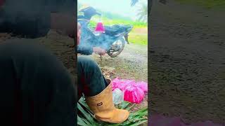 Nasip Anak Rantausatuklikuntukwujudkanimpianmu jalanyangjauhjanganlupapulang