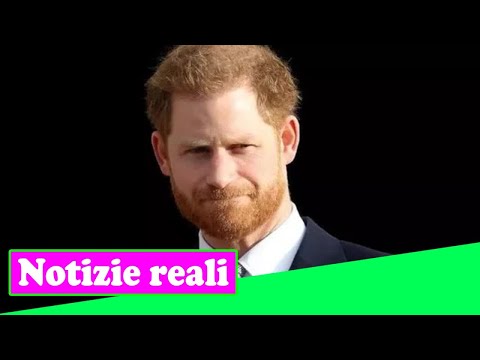 Video: Il Principe Harry Ha Appena Cambiato Il Suo Viaggio Nei Paesi Bassi Mentre Meghan Markle Si Prepara A Partorire