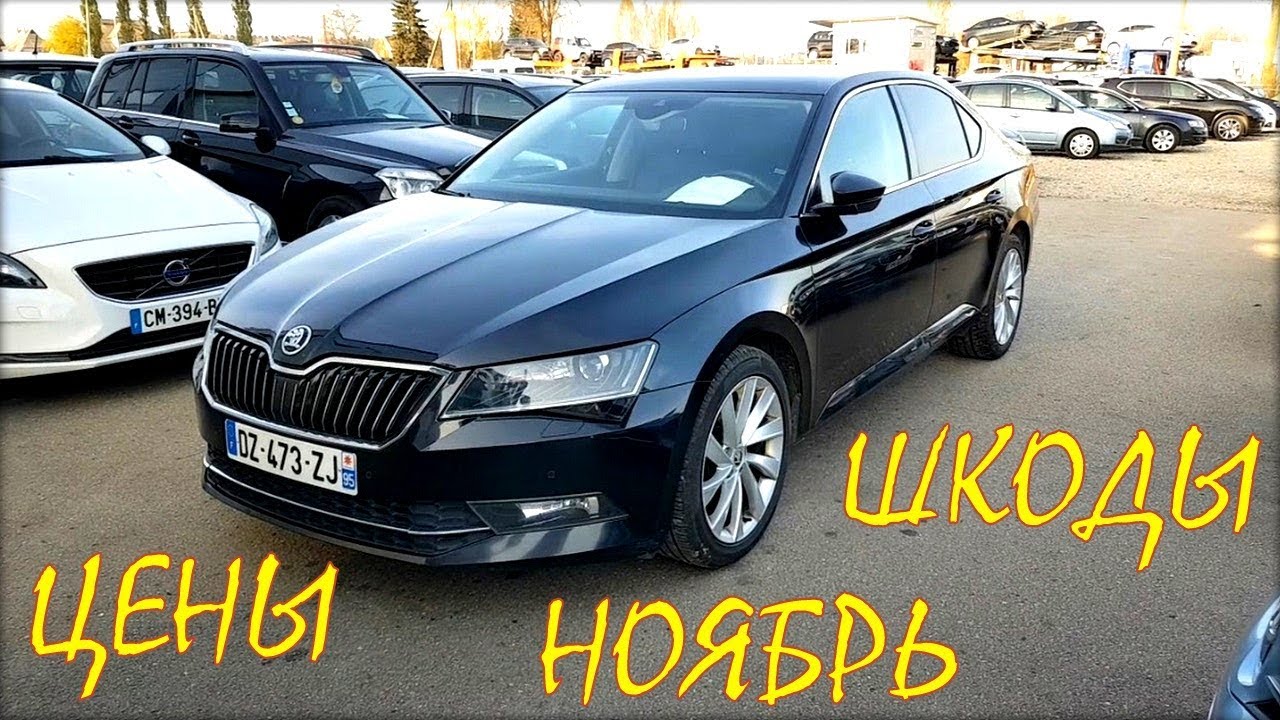 Фаворит моторс шкода юг