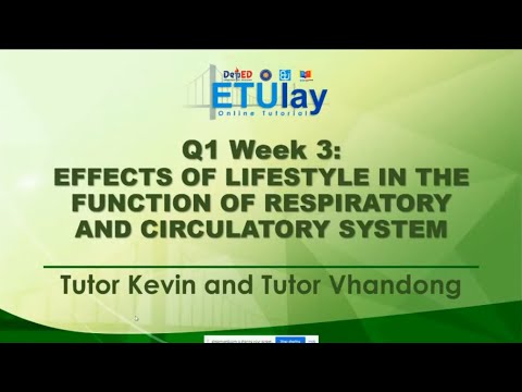 Effects of Lifestyle in the Respiratory and Circulatory System ...