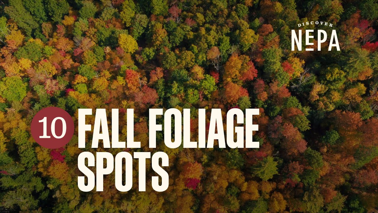 10 Fall Foliage Spots in NEPA | Northeastern Pennsylvania