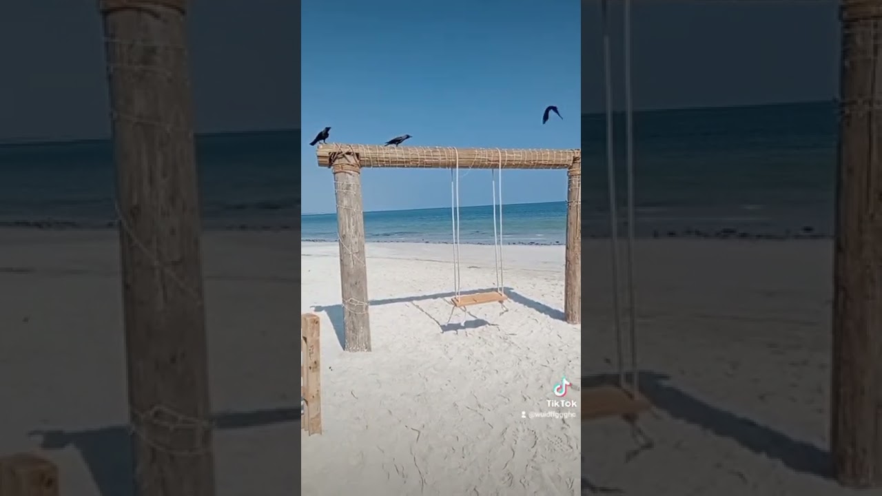 محمد البرعمي ما توقعتك